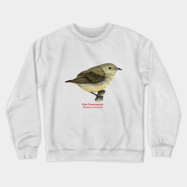 Plain Flowerpecker | Dicaeum minullum Crewneck Sweatshirt by bona 